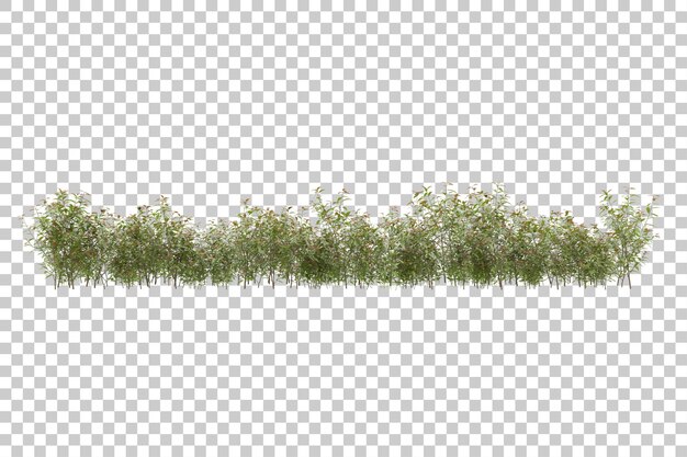Campo in erba con sfondo trasparente 3d rendering illustrazione