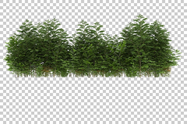 Campo in erba con sfondo trasparente 3d rendering illustrazione