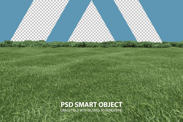 Campo in erba realistico con cespugli Rendering 3d di oggetti isolati