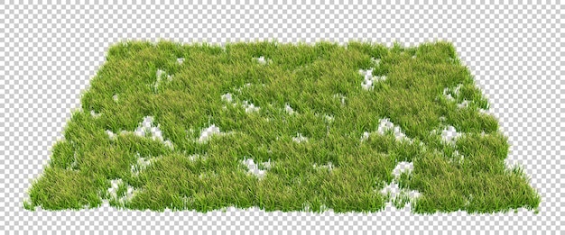 Campo verde de hierba con flores sobre fondo transparente Ilustración de renderizado 3d