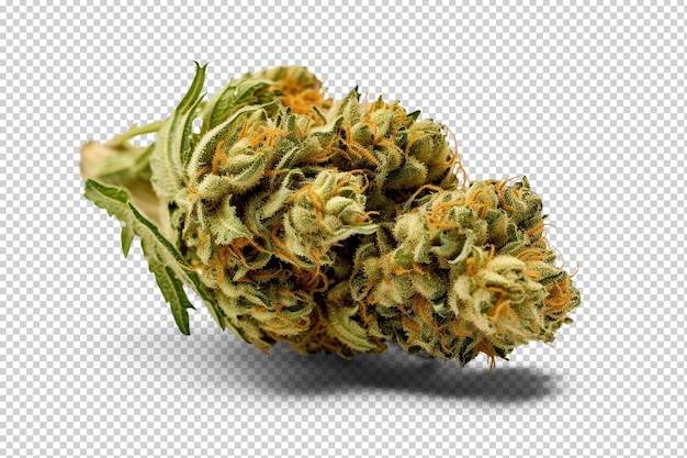 PSD cannabis cortado en transparente