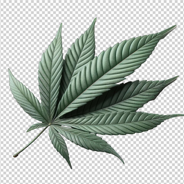 PSD cannabis in exquisiten details png