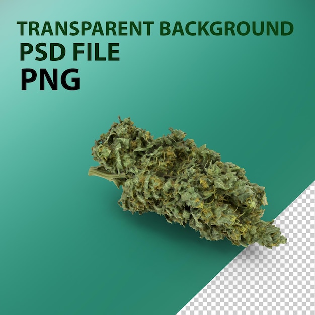 PSD cannabis-knospe png