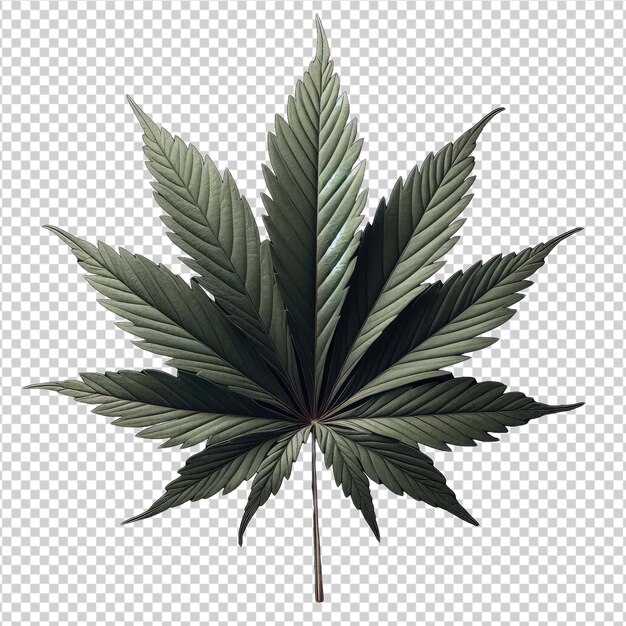 PSD cannabis saludable de cerca png