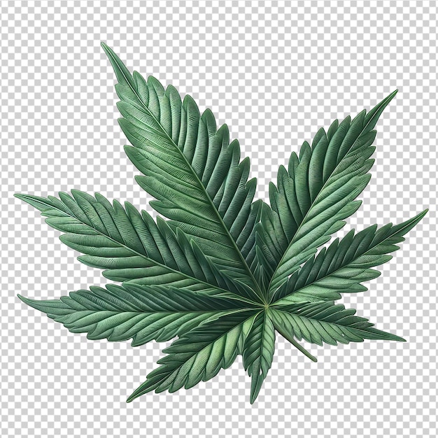 PSD cannabis saludable clipart png