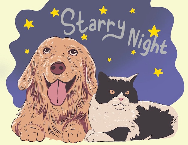 Cão e gato numa noite estrelada