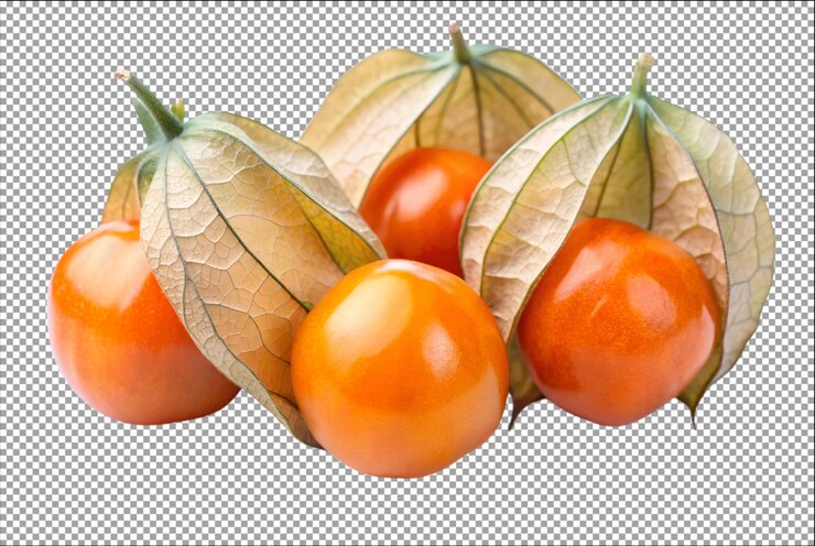 PSD cape gooseberry physalis aislado hace brillar cualquier plato deliciosamente