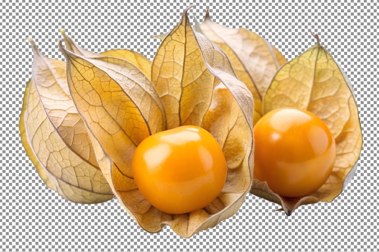 PSD capes gooseberry physalis aislados en la superficie de las hojas verdes