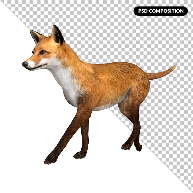Carattere animale volpe
