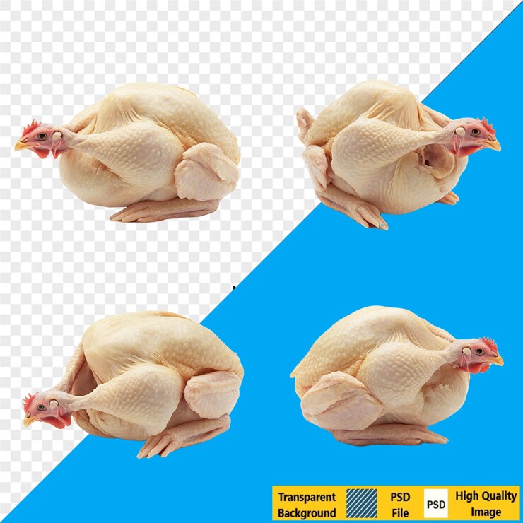 PSD carne de fondo transparente psd carne fresca carne de res pollo cerdo cordero filete tocino salchicha jamón