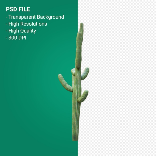 Carnegiea Gigantea 3d render isolado