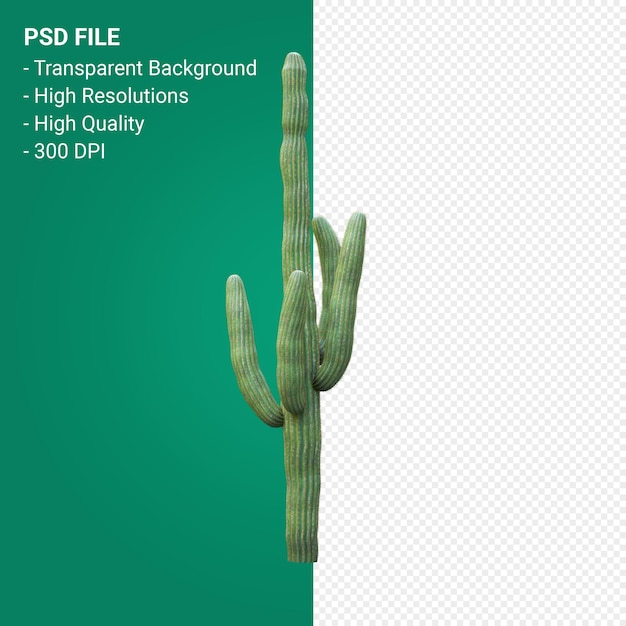 PSD carnegiea gigantea 3d render isolado