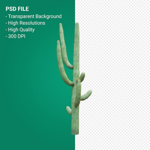 Carnegiea Gigantea 3d render isoliert