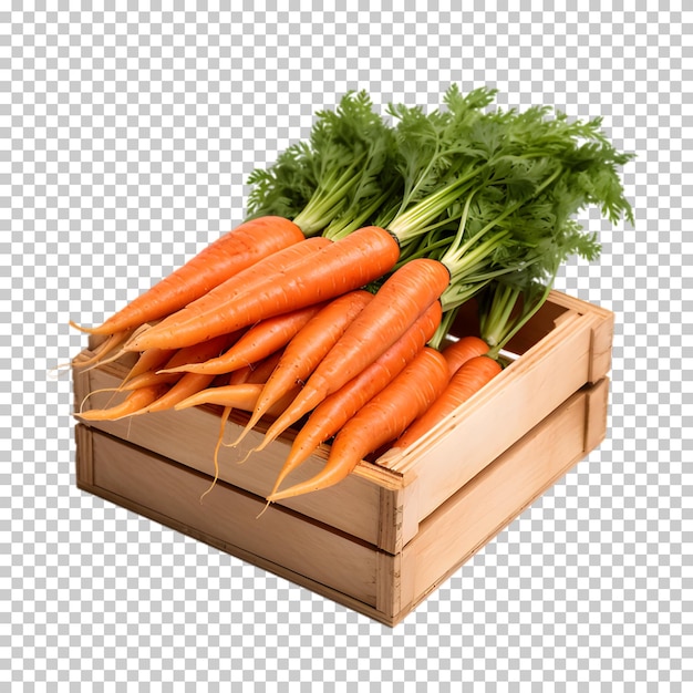 PSD carotte dans une boîte en bois isolée sur un fond transparent