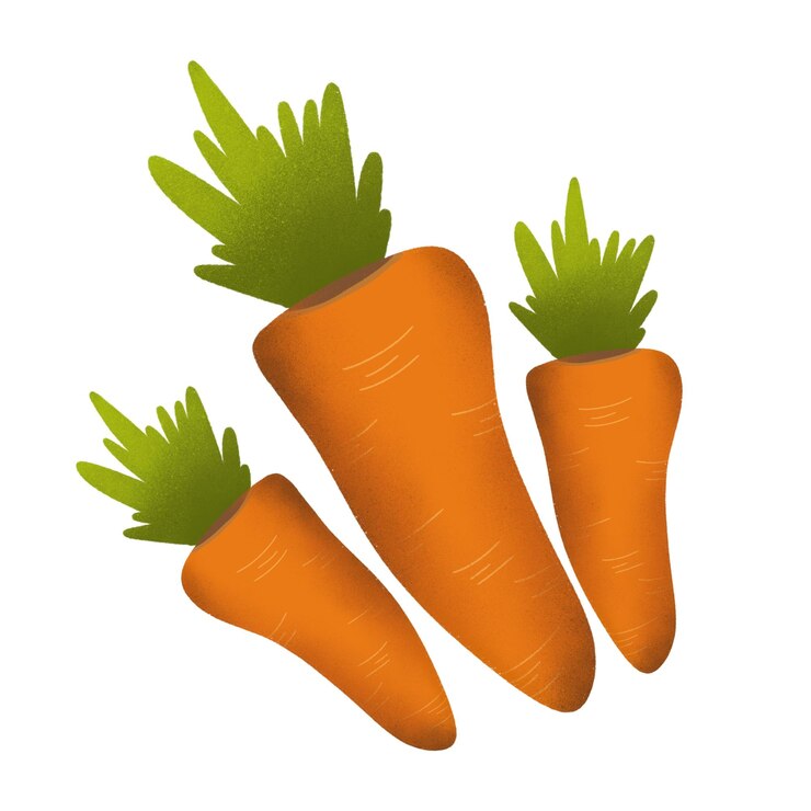 PSD carottes