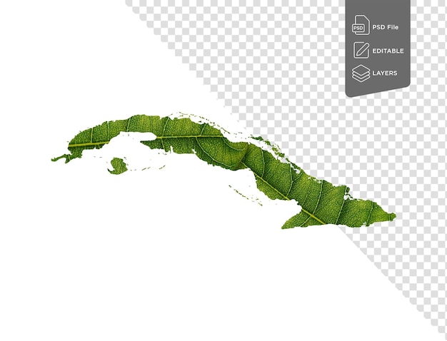 PSD carte de cuba composée de feuilles vertes sur fond blanc, concept d'écologie, illustration 3d