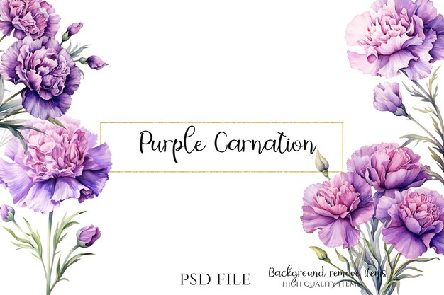 PSD carte d'invitation à la fleur d'œillet pourpre clipart psd fleurs de haute qualité thème pourpre