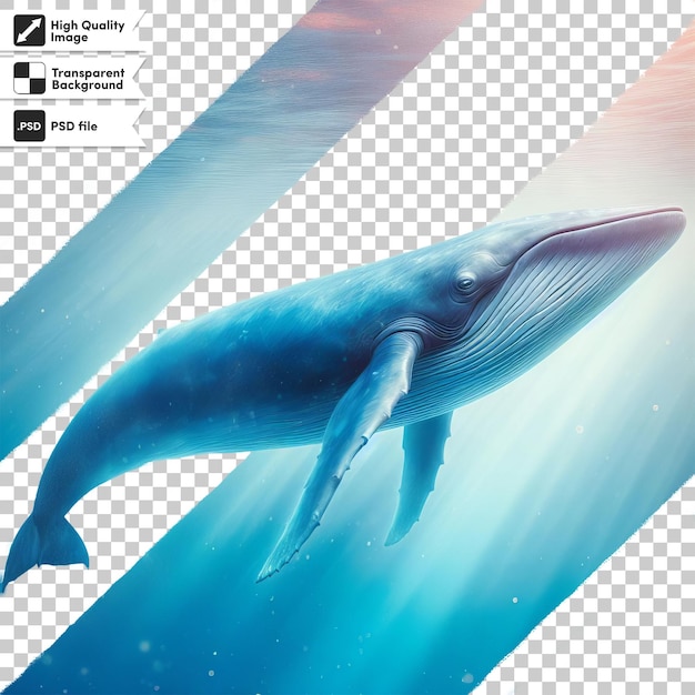 PSD un cartel para un delfín que dice ballena en él