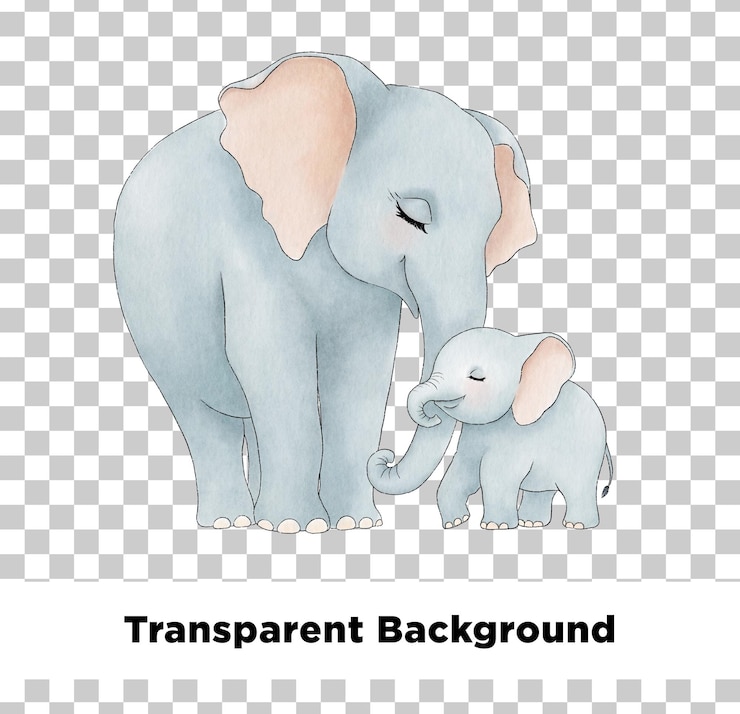 PSD cartella per la doccia del bambino con l'elefante bambino e sua madre sullo sfondo trasparente