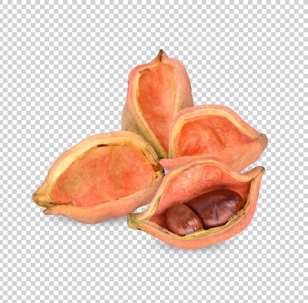 Castaña tailandesa Castaña china Fruta de siete hermanas Fruta de Sterculia nobilis Sabrosa con buenos beneficios y vitaminas altas aisladas Permium PSD