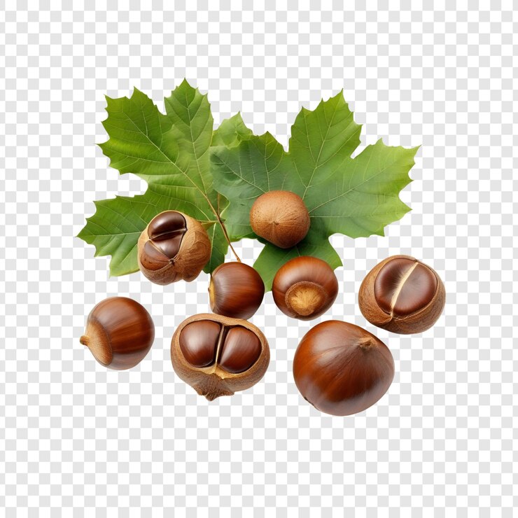 PSD castañas dulces cosecha de otoño hojas verdes nueces marrones naturaleza
