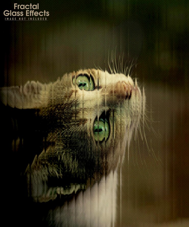PSD cat face fractal glass mockup