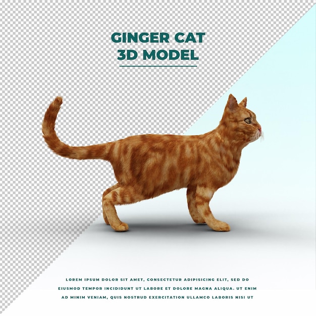 Cat Ginger