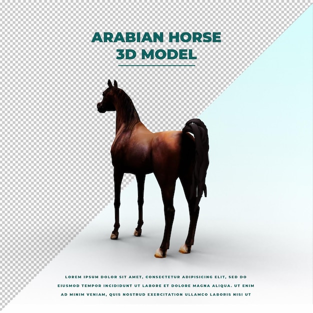Cavallo Arabo