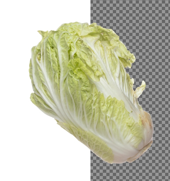 Cavoli cinesi volano in aria verdi verdure fresche cavoli cinesi cadono verdure organiche fresche con foglie mangiate di cavolo cinese texture da vicino sfondo bianco movimento di congelamento isolato