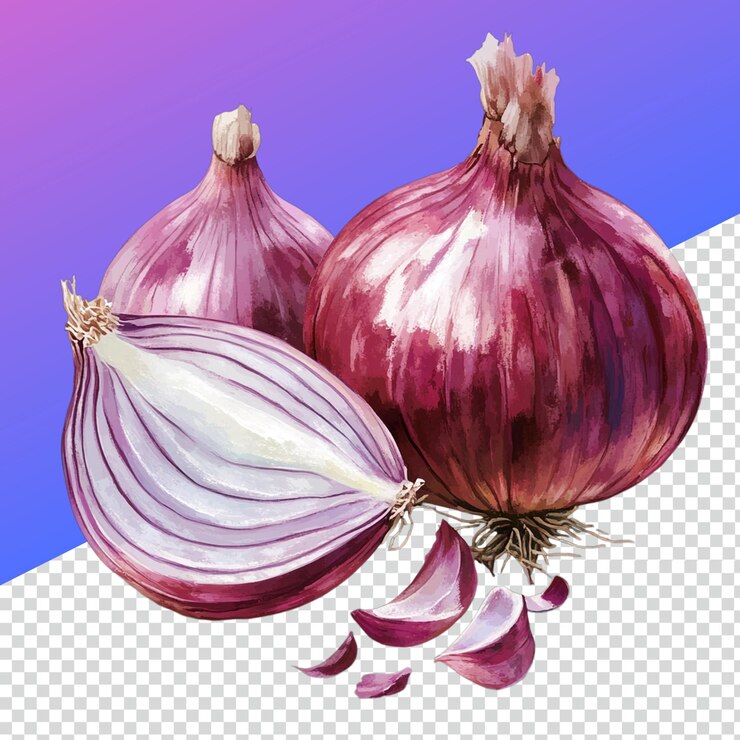 PSD cebolla fresca en un fondo transparente para diseños culinarios