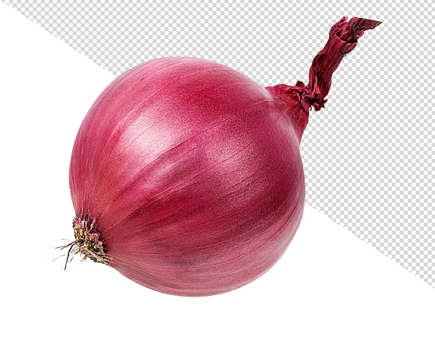 Cebolla png