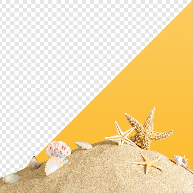 Cena de areia de praia