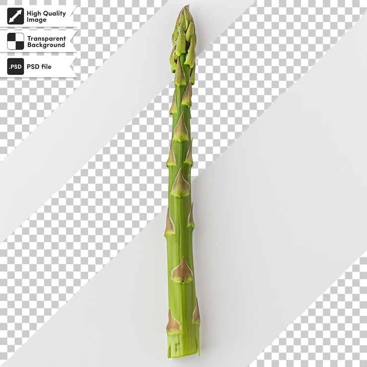 PSD un cepillo de dientes con una flor en él y la palabra quot im a quot