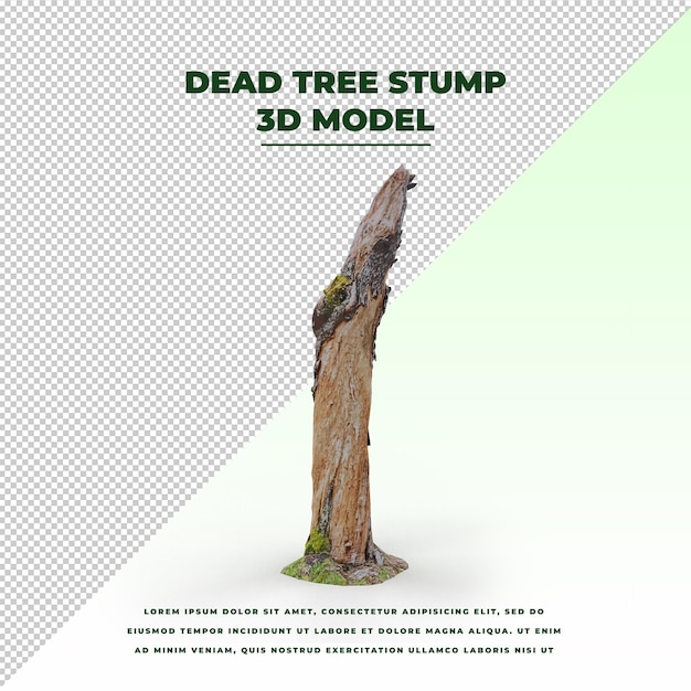 Ceppo di albero morto