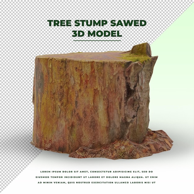 Ceppo di albero segato