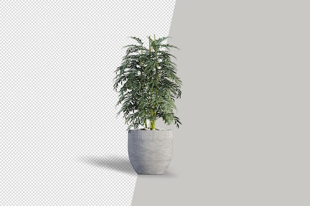 Cerca de la flor en el interior de la maceta render 3d