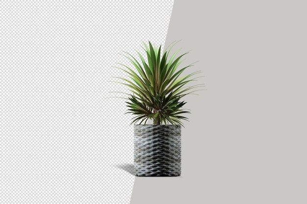 Cerca de la flor en el interior de la maceta render 3d