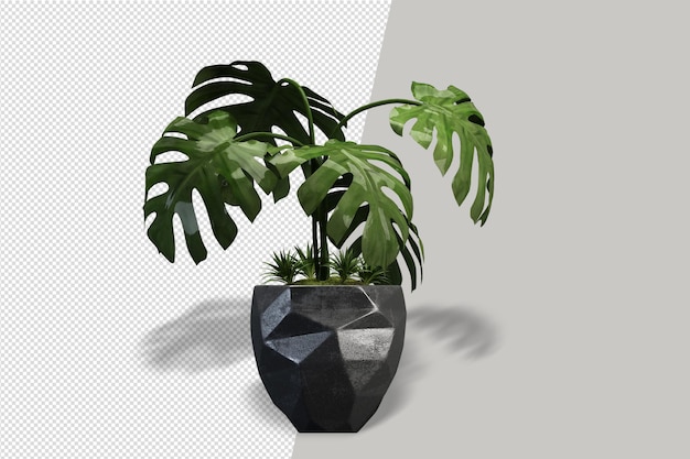 Cerca de la flor en el interior de la maceta render 3d