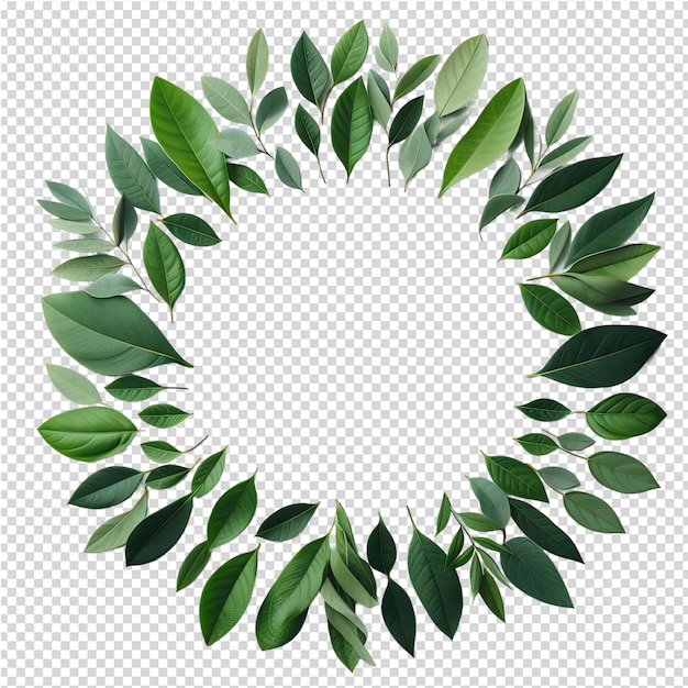 PSD un cercle avec des feuilles vertes et un cercle sur un fond blanc