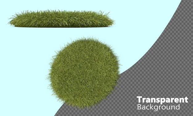 Un cercle d'herbe isolé sur un fond transparent