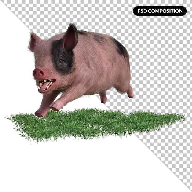 Cerdo, en, un, pasto o césped, aislado, 3d