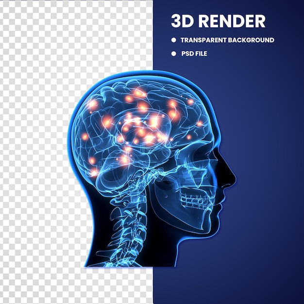 PSD cerebro 3d dentro del objeto humano