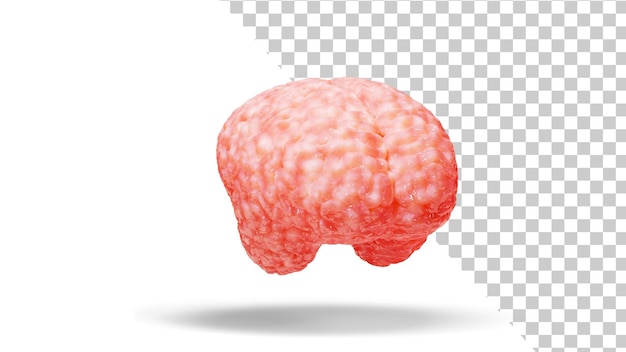 cerebro, aislado, en, un, fondo blanco, cerebro humano, 3d, interpretación