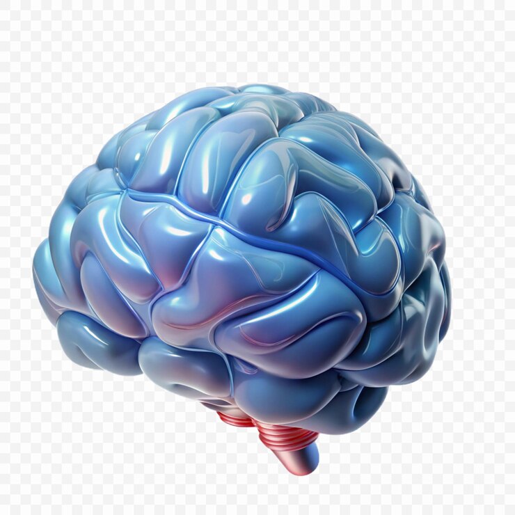 PSD un cerebro azul y blanco se muestra en un fondo transparente