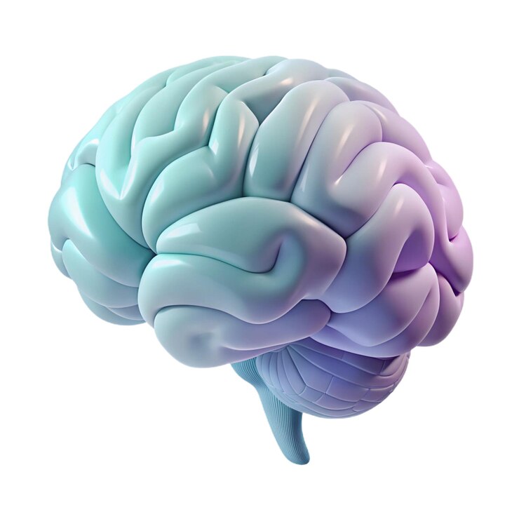 PSD un cerebro azul y rosa con la palabra quot lon it