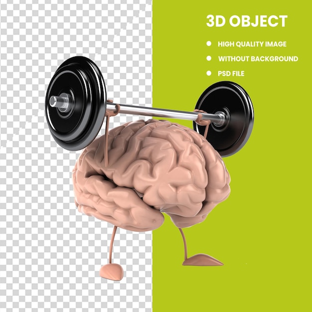 PSD cérebro funcional