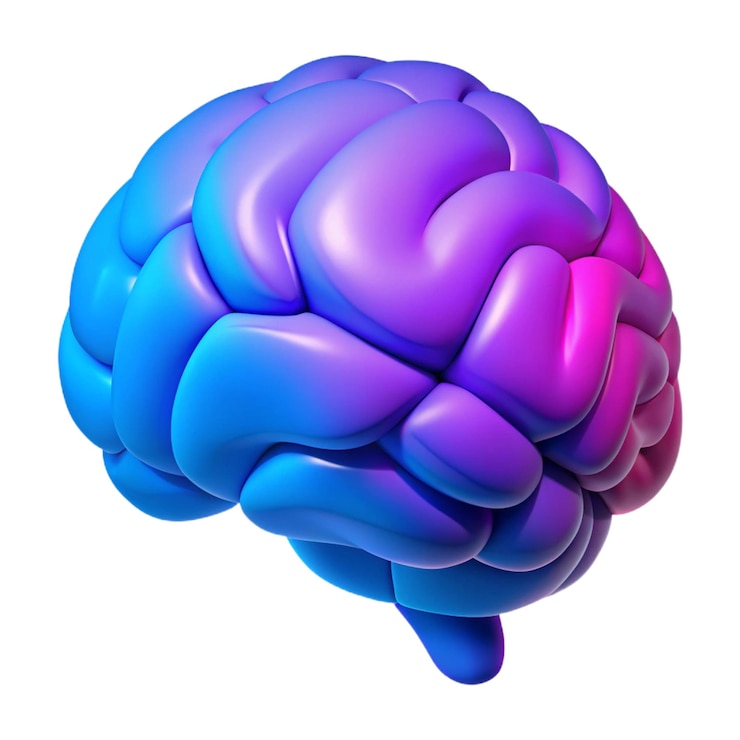 PSD un cerebro multicolor con un color púrpura y azul en él