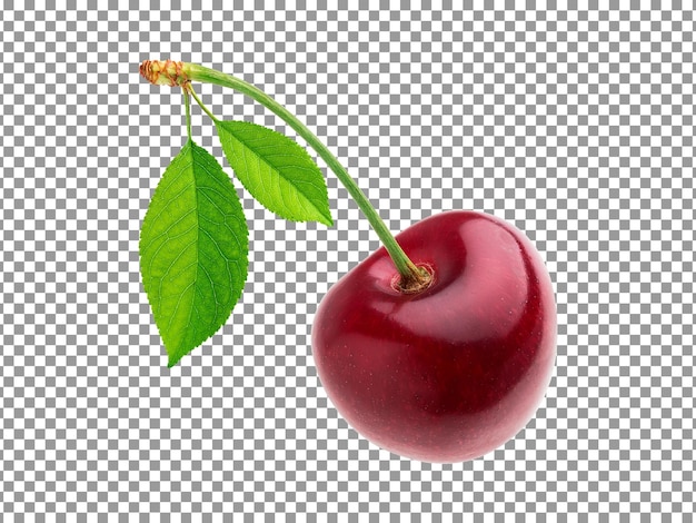 Cerise avec feuille isolée sur fond transparent