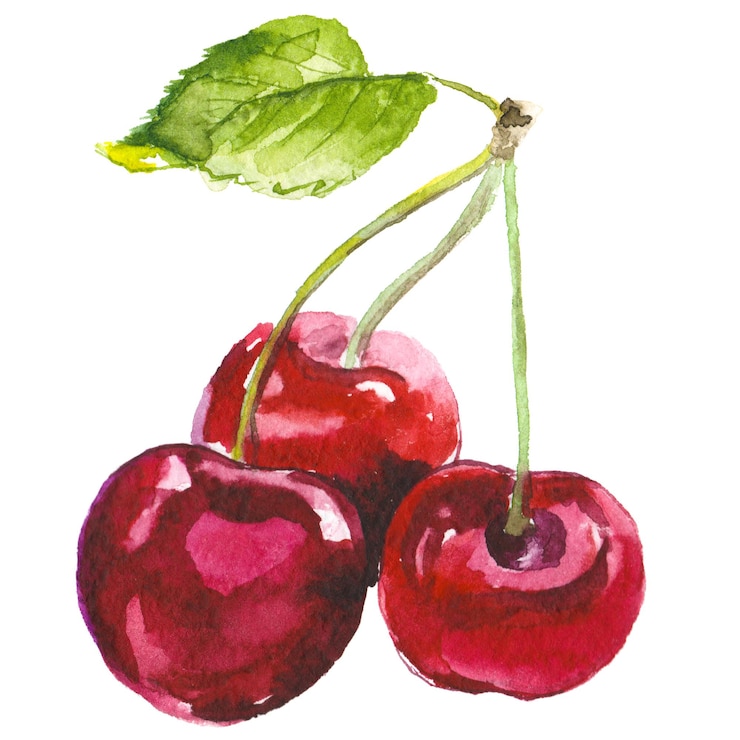 PSD cerise peinte à l'aquarelle éléments de conception d'aliments frais dessinés à la main isolés sur fond blanc