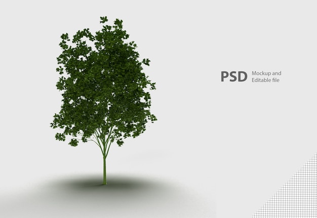 PSD cerrar en planta aislada